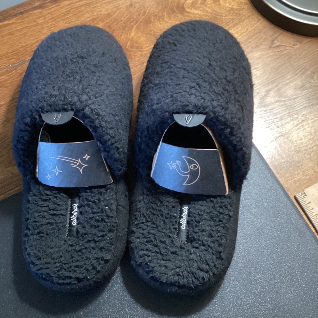 Allbirds Wool Dweller Fluff